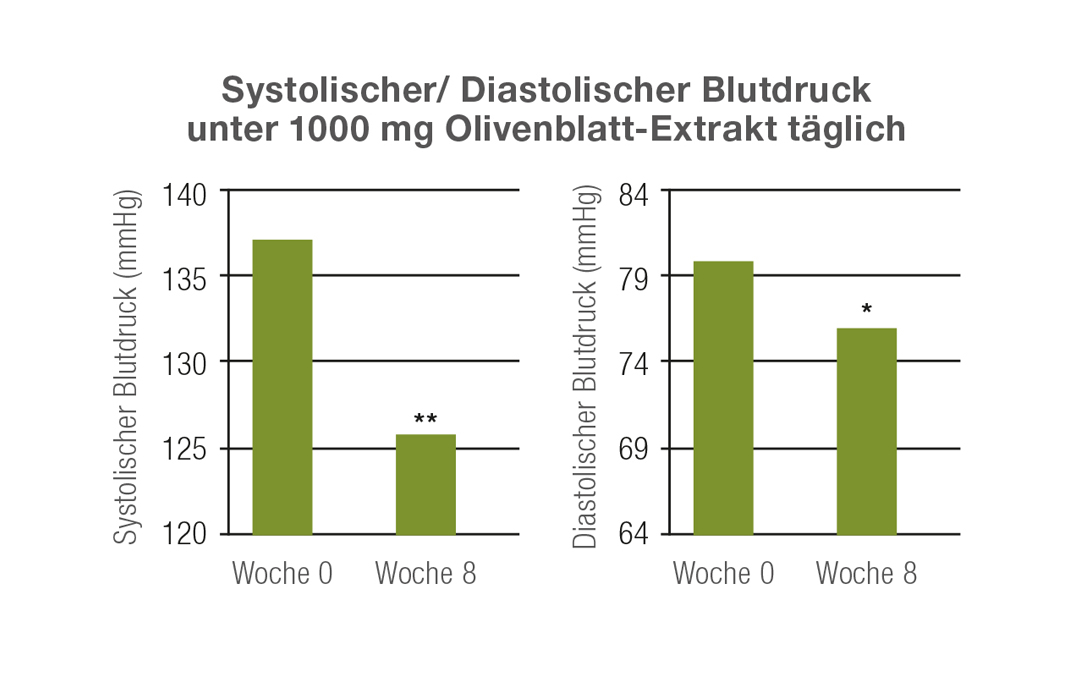 Systolischer/ Diastolischer Blutdruck unter 1000 mg Olivenblatt-Extrakt