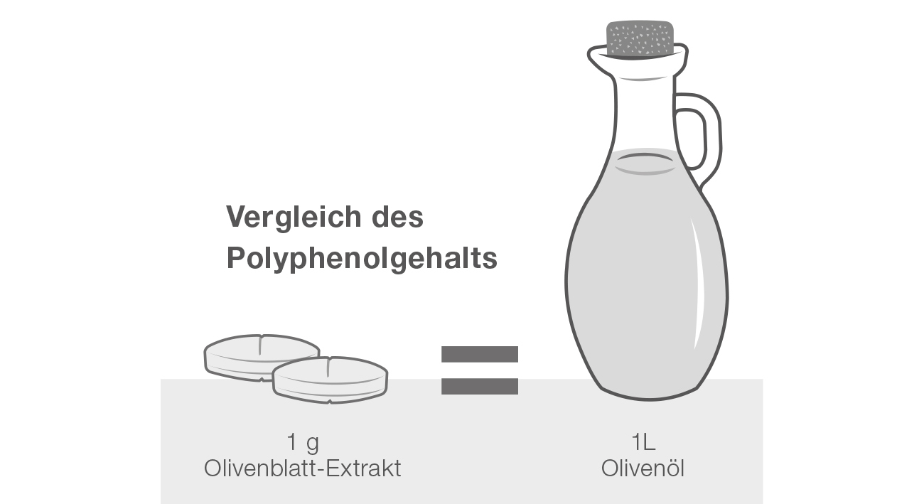 Vergleich des Polyphenolgehalts