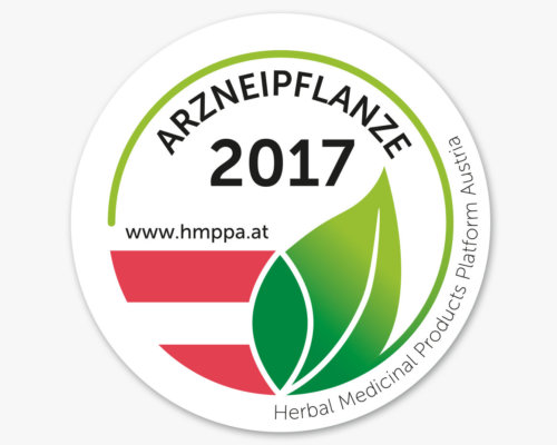 Mutterkraut - Arzneipflanze 2017