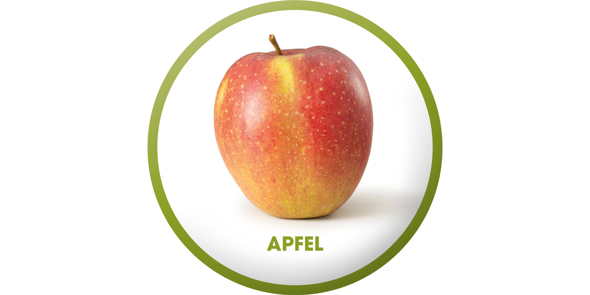 Pektin aus dem Apfel zeichnen sich vor allem durch ihre präbiotische Wirkung aus.